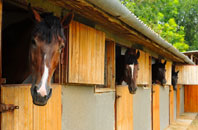 free Desford stable construction quotes
